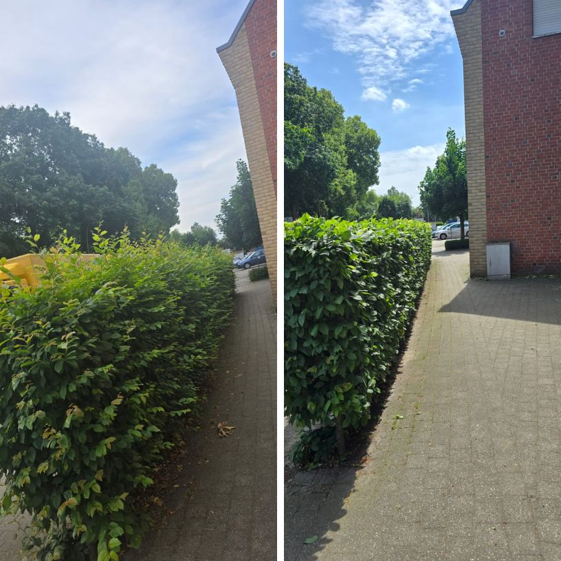 Gartenpflege – Referenzfoto 4 von 16
